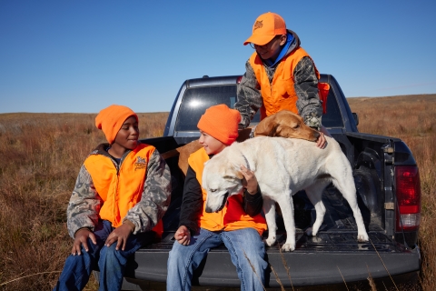 three boys in hunter orange sitting in the bed of a truck with two dogs 