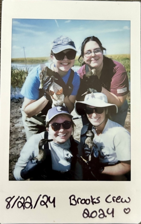 polaroid picture of 4 biologists holding ducks