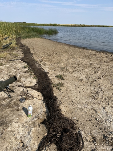 shoreline with a net laid out on the ground 