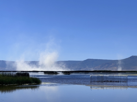 wetland with dust in the background