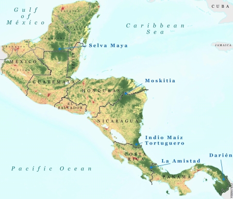 A drawn map of Mesoamerica, with the Five Great Forests depicted in green shading (stretching from Mexico to Panama). 