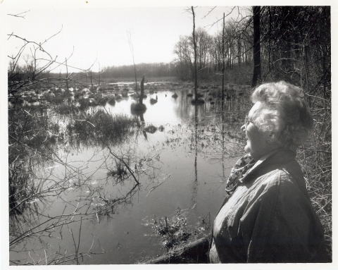 B&W photo of person looking at swamp