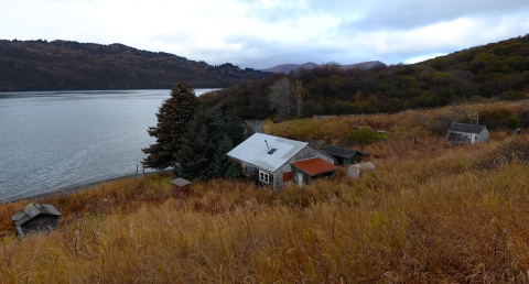 A small house with an attached shed along with four other smaller structures on a grassy beach shore with low mountains in the distance.