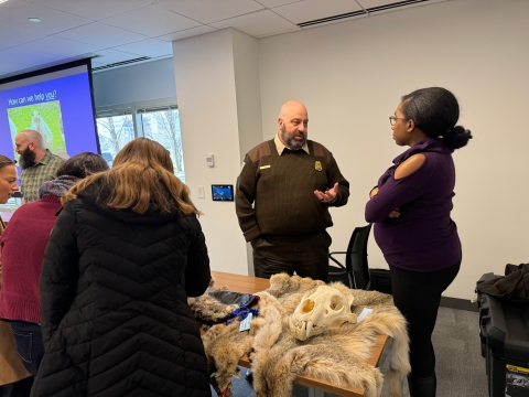 Uniformed federal wildlife inspector fields questions from wildlife broker next to a table of animal skins and skulls