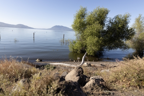 Lake with sandy beach and rocks and bushes