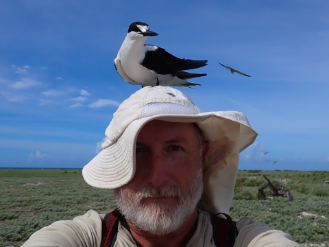 A sooty tern standing on Jon Plissner's head