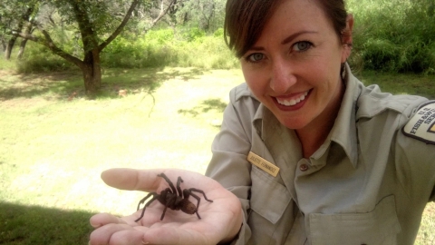 smiling FWS Staffer holding a spider