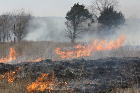 Image of Prescribed Burn in Marena, Oklahoma