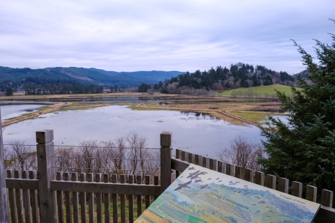 A visitor overlook with wetlands and mountains in the background.