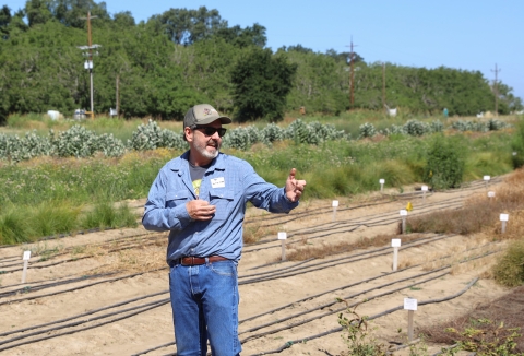 A man in a hat and sunglasses speaking in farm field.