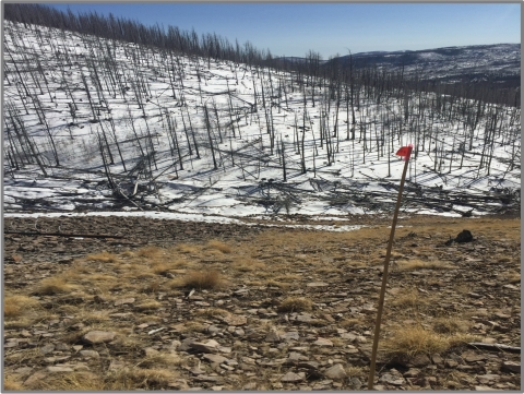 Image of snow sampling done on a southern facing slope