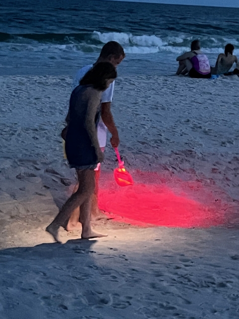 Tourists use red flashlights to explore the beach at night