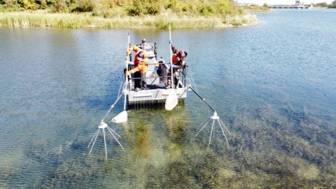 Image of three USFWS staff boat electrofishing for tench in the St. Lawrence River.