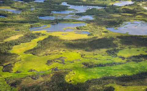 aerial view of wetland and boreal forest