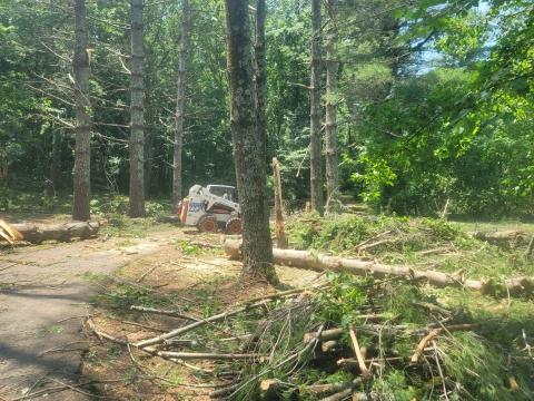 Skidsteer piling up downed trees and limbs