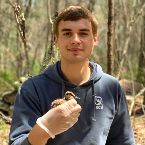 Young conservation professional holding an American woodcock chick