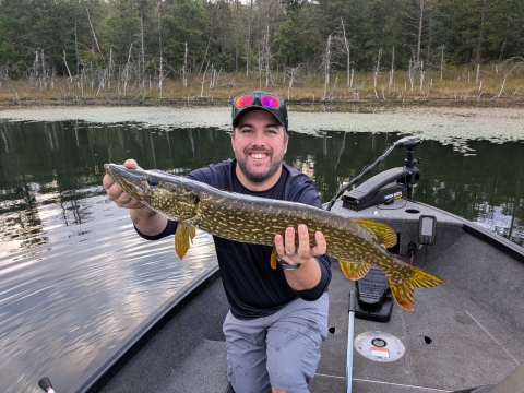 Service biologist Craig Kelling on a boat holding recently caught Northern Pike fish.