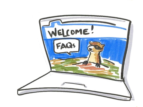 laptop with a website displaying that reads "Welcome" and a black footed ferret with an "FAQs" speech bubble