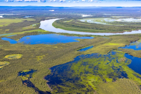 aerial view of wetlands, boreal forest, and a river