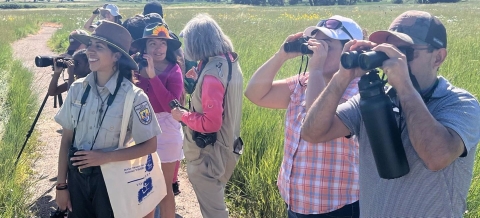 A group of people holding binoculars to their faces while looking for birds on a nature trail.