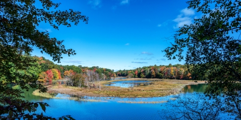 Sense of Wonder Trail: We're particularly excited about this accessible community trail project! Designed by our Partner Schools, Enock Glidden, and Indigenous artists, this trail will feature nature play elements, stunning rest stops, and breathtaking views, ensuring a memorable experience for all.