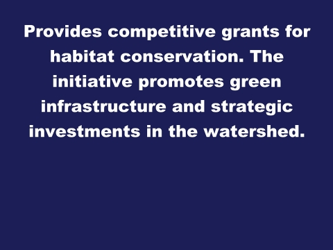 Image reads Provides competitive grants for habitat conservation. The initiative promotes green infrastructure and strategic investments in the watershed.