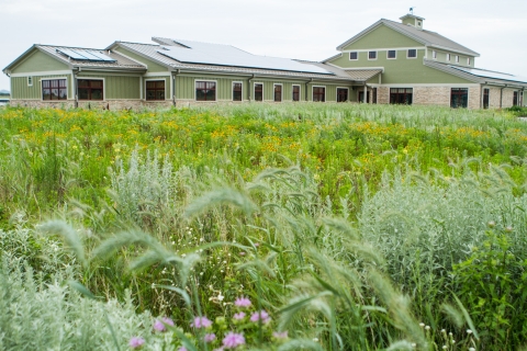 Wildflowers bloom in the restored prairie outside of the La Crosse District Visitor Center of the Upper Mississippi River National Wildlife and Fish Refuge