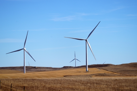 Wind turbines in a field
