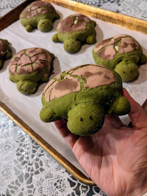 A hand holding a matcha bread roll in the shape of a turtle. A tray of additional matcha rolls sits on a table in the background