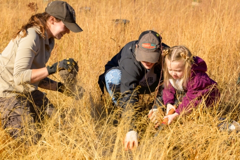 FWS staff and volunteers prep a hole in order to plant a tree for a restoration project