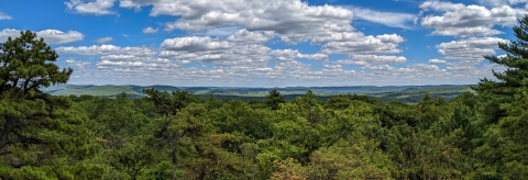 a panoramic view with green trees in the foreground, hills in the distance, and blue sky with white clouds