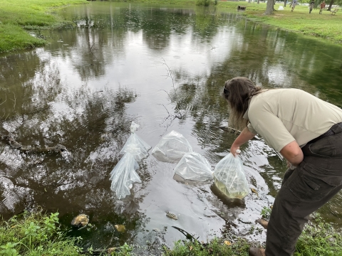 USFWS biologist floating fish 