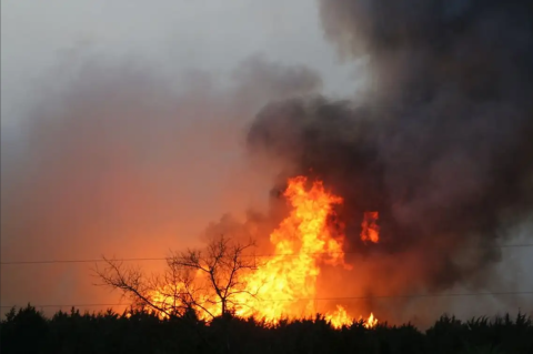 Image of a fire burning in a forest