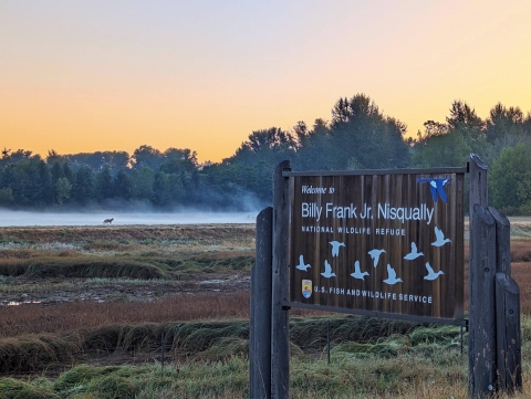 Entrance sign with coyote in distance