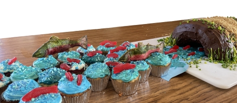 blue cupcakes with salmon candies on top placed "upstream" of a cake shaped like a culvert.