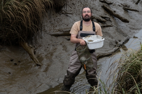 A service intern wearing waders stands in a tidal creek during low tide; holding a crab trap and container. 