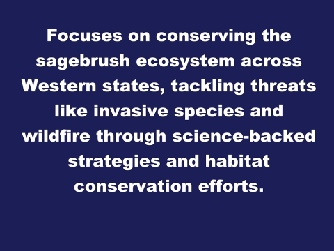 Focuses on conserving the sagebrush ecosystem across Western states, tackling threats like invasive species and wildfire through science-backed strategies and habitat conservation efforts.