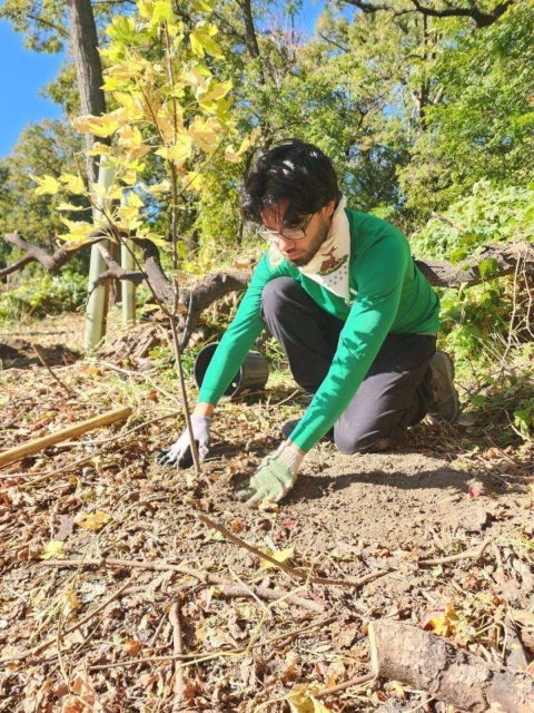 Groundwork Hudson Valley youth tree planting in Richter Park