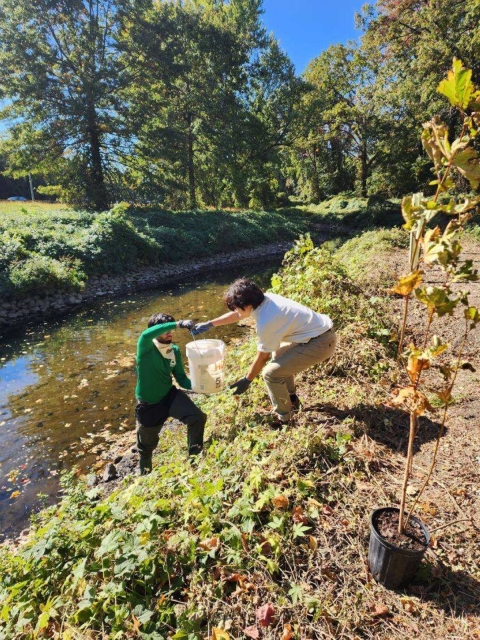 Youth carrying water to plant trees in Ritcher Park, Yonkers