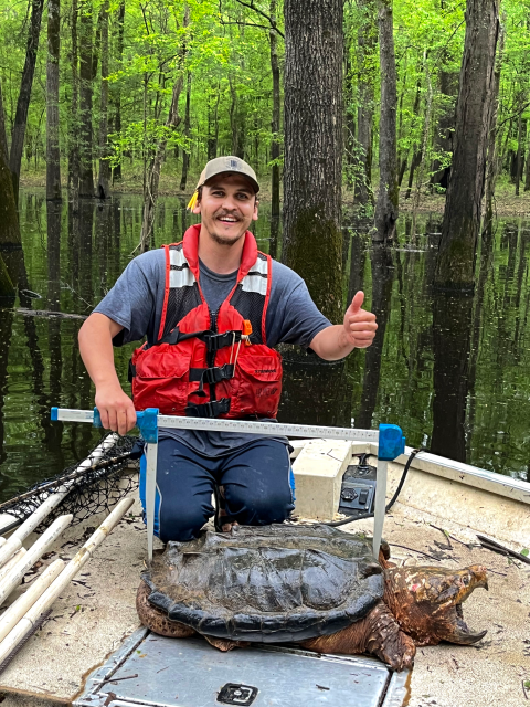 Patrick Delisle, a graduate student at the University of Southern Mississippi, poses with an alligator snapping turtle he caught during surveys conducted at the Theodore Rosevelt National Wildlife Refuge, Miss. April 18, 2024. (Photo by Bones Glorioso, United States Geological Survey)