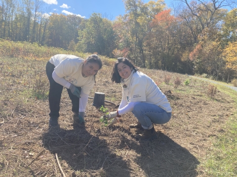 Service staff and Groundwork Elizabeth youth plant trees