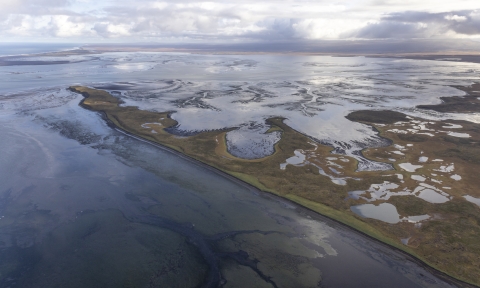 Aerial image of a coastal lagoon surrounded by numerous small to large waterbodies and wetlands