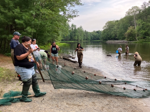 People in waders in a river using a large fishing net.