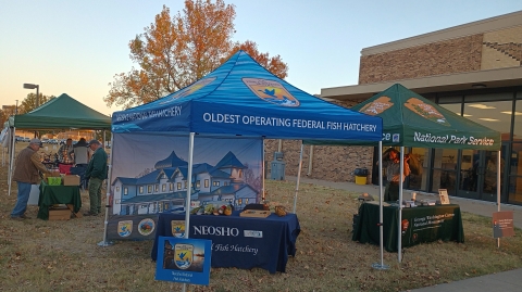 Outdoor event with canopies over informational booths