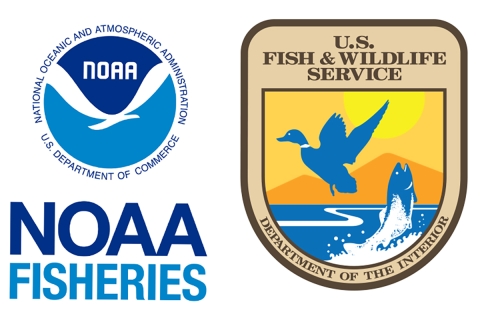 The NOAA Fisheries and USFWS Logos next to one another