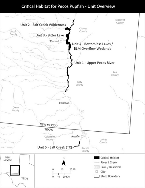 A black and white map of southeastern New Mexico and West Texas that indicates the five units of proposed critical habitat for the Pecos pupfish. Unit 1 to 4 are in New Mexico and Unit 1 is labeled Upper Pecos River, Unit 2 is labeled Salt Creek Wilderness, Unit 3 is labeled Bitter Lake and Unit 4 is labeled Bottomless Lake/ BLM Overflow Wetlands. Unit 5 is in Texas and labeled Salt Creek.