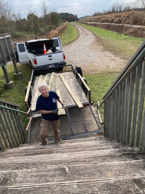 A woman wearing a blue volunteer shirt carries a plank of wood from a trailer up a set of wooden steps.