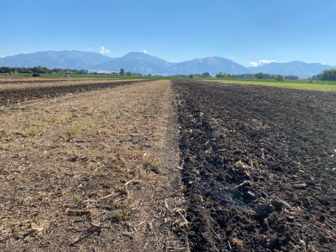 A large field with half that appears darker than the other half