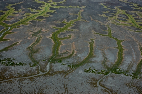 coastal view from above showing tidal mudflats