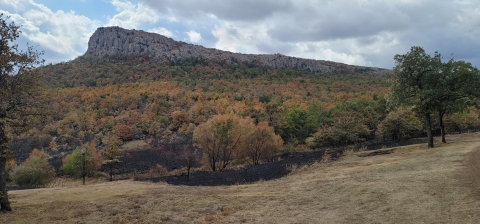 A mountain in the background, while the foreground shows a fall forest changing color and black burned areas near the edge